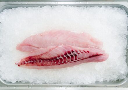 Alaskan pollock fillet