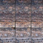 assorted rivets