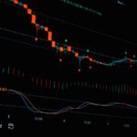 digital asset management platform