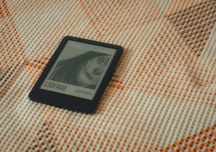 hentai manga reader interface