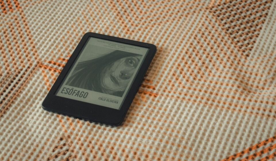 hentai manga reader interface
