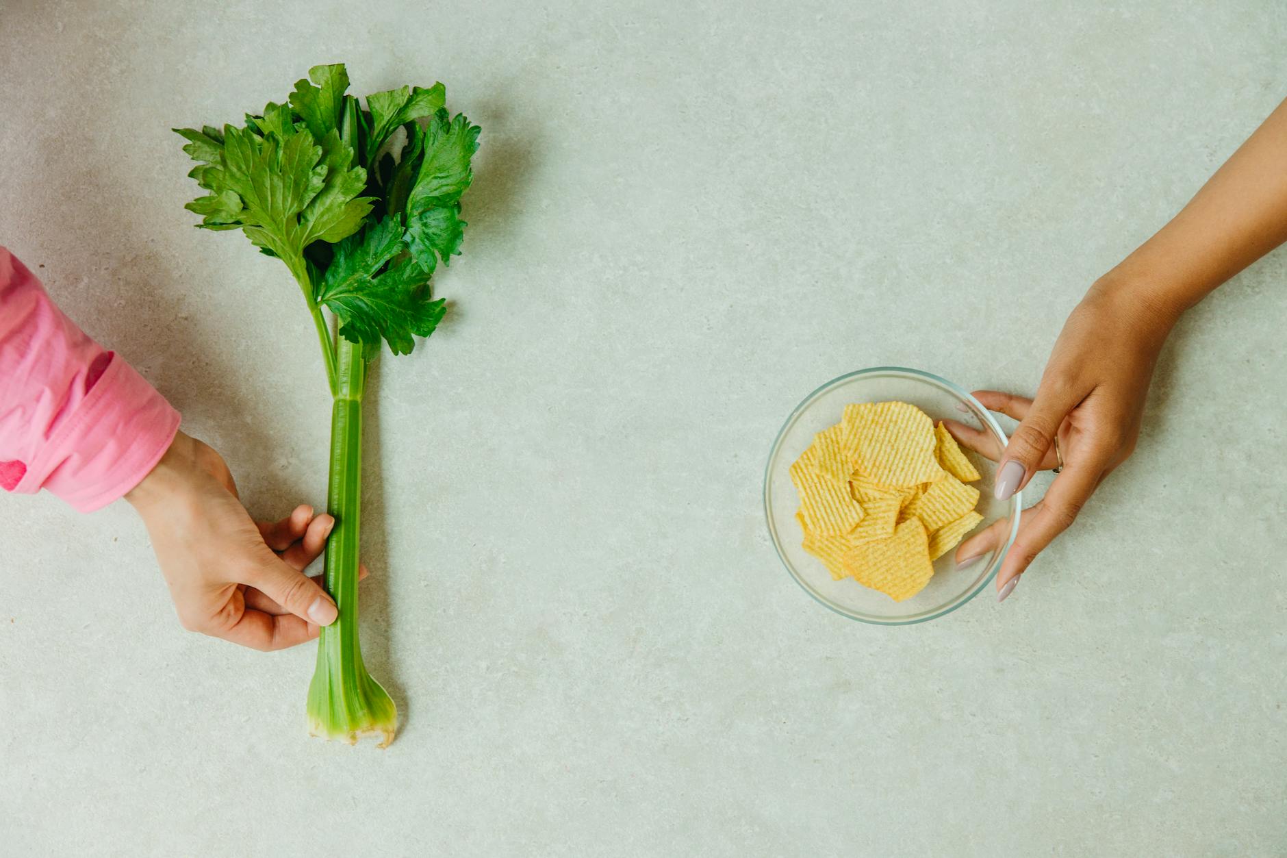 Pravi Celer in 2026: Your Guide to True Celery’s Benefits and Uses