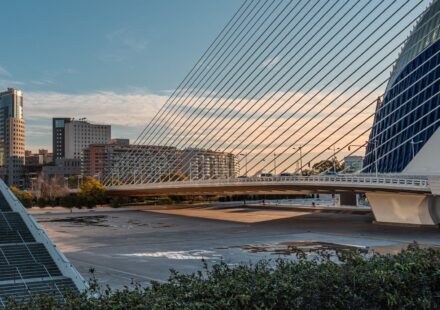 science communication bridge