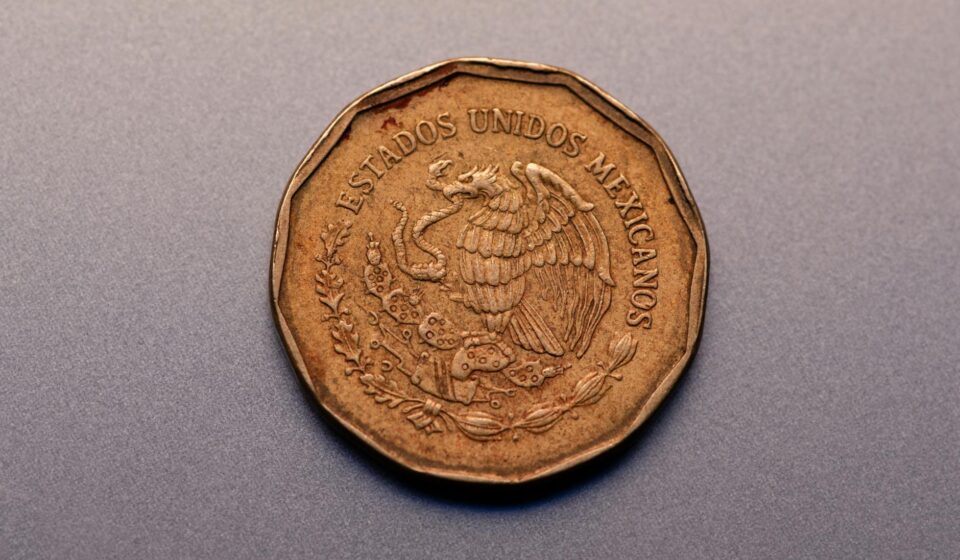 Turkmenistan teňňe coin