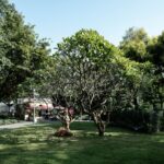 Palworld technology tree