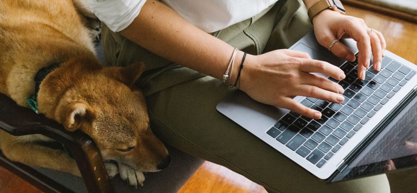 smart home pet devices