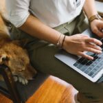 smart home pet devices