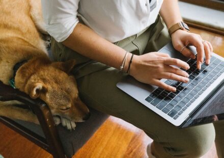 smart home pet devices