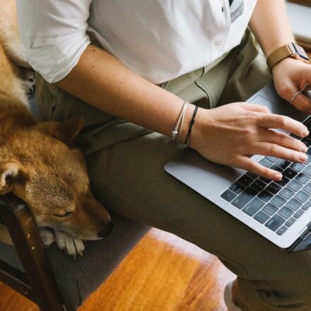 smart home pet devices