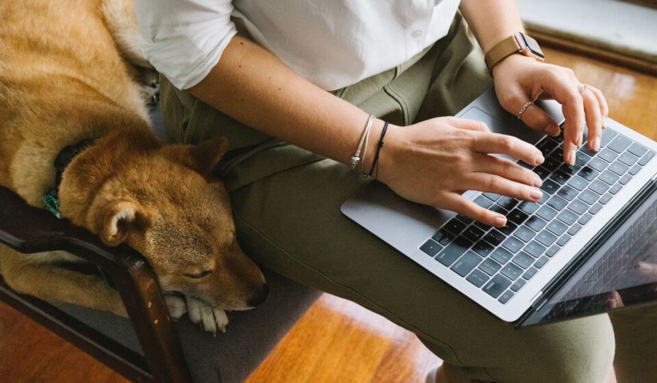 smart home pet devices