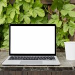 eco-friendly tech gadgets